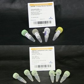 PGEM -T Easy Vector System II 20 reactions