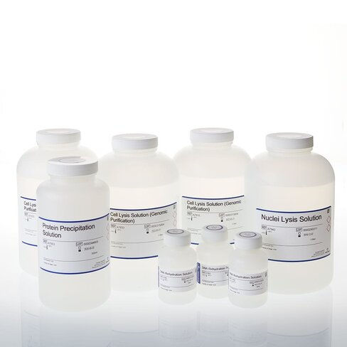 Wizard Genomic DNA Purification Kit 100 isolations×10 1000 mL