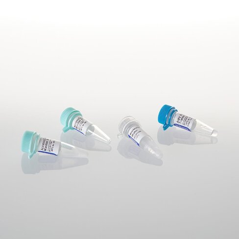 Access Quick RT-PCR System 20 reactions