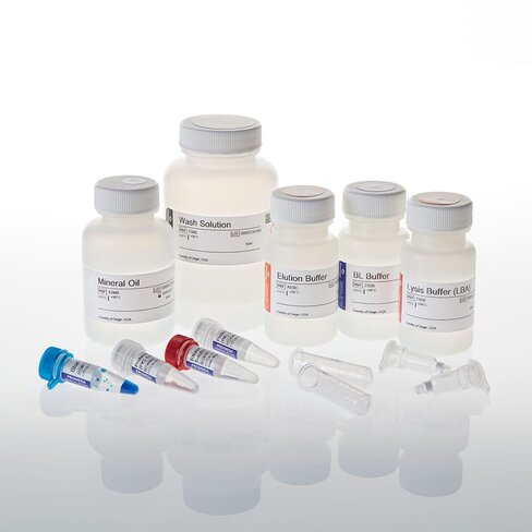 ReliaPrep FFPE gDNA Miniprep System 100 preps