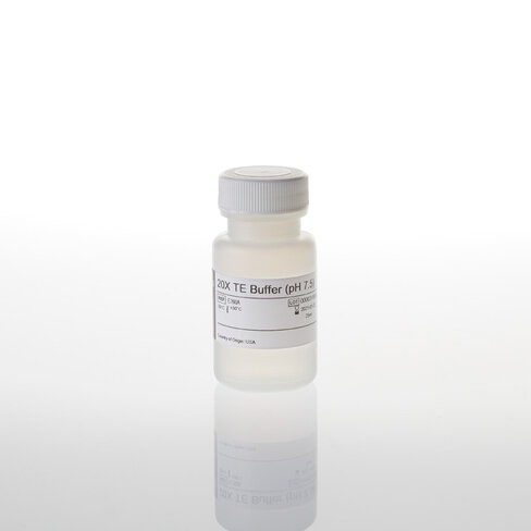 20X TE Buffer pH 7.5 25 mL