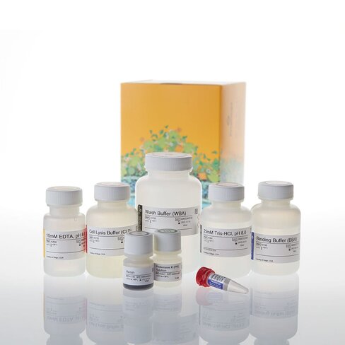 Maxwell HT 96 gDNA Blood 1x96 preps