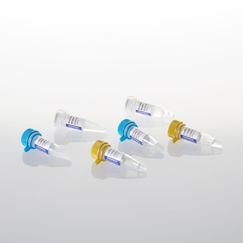 GoScript Rev Trans Mix Oligo dT 100 rxn 100 reactions