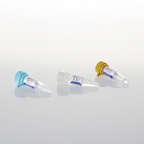 GoScript Rev Trans Mix Ran Prim 50 Rxn 50 reactions