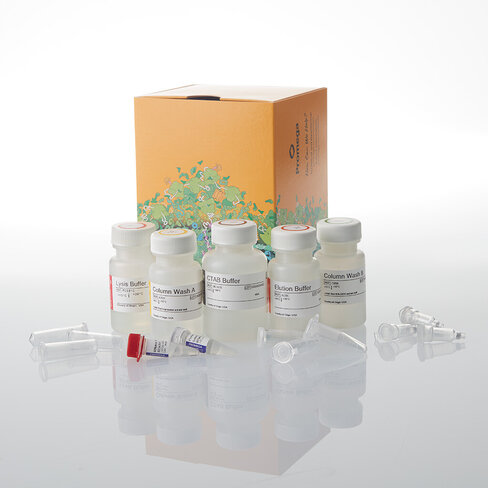 Wizard PureWater Kit