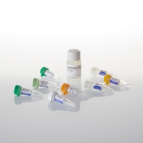 Reverse Transcription System 100 reactions