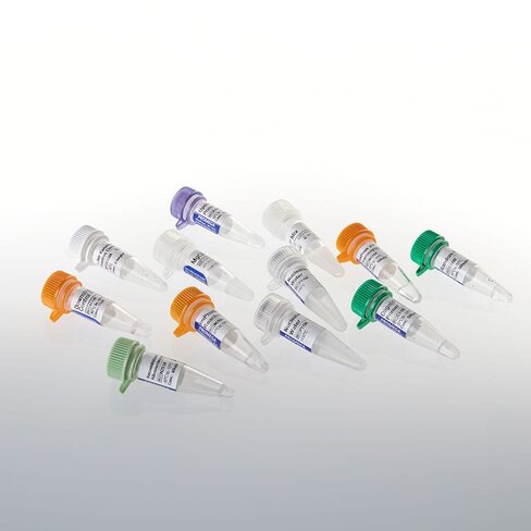 ImProm-II Reverse Transcription System 100 reactions