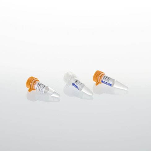 ImProm-II Reverse Transcriptase 100 reactions