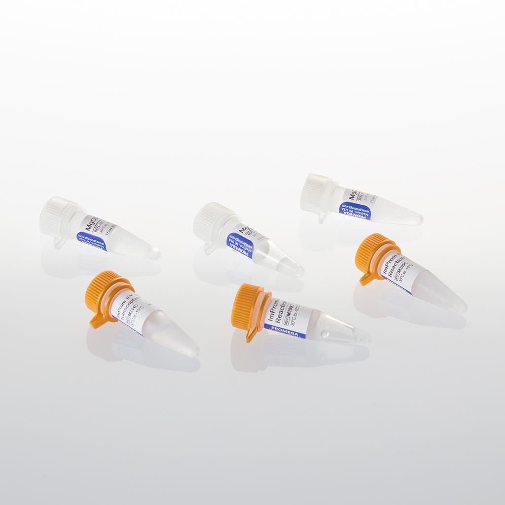 ImProm-II Reverse Transcriptase,500 rxn