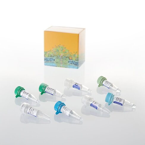 GoScript Reverse Transcription System 50 reactions