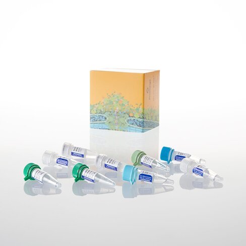 GoScript Reverse Transcription System 100 reactions