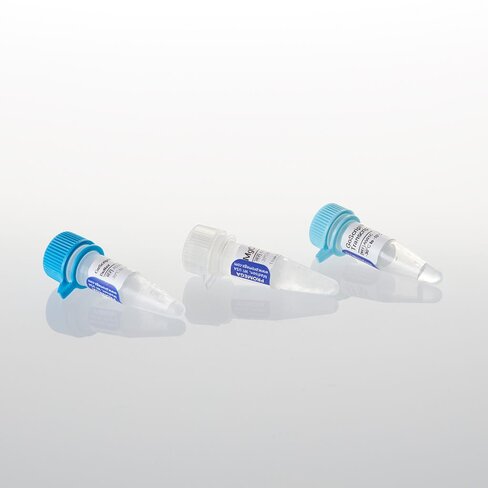 GoScript Reverse Transcriptase 100 reactions