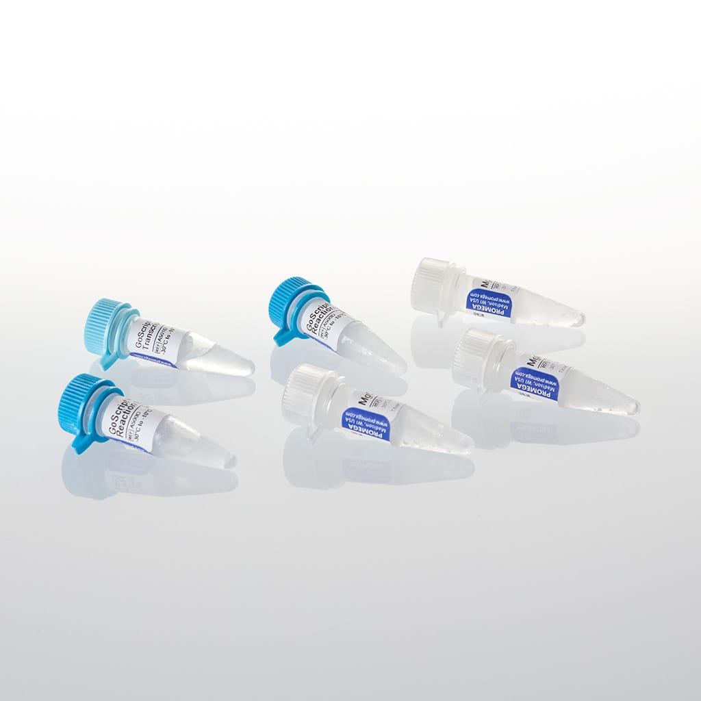 GoScript Reverse Transcriptase 500 reactions