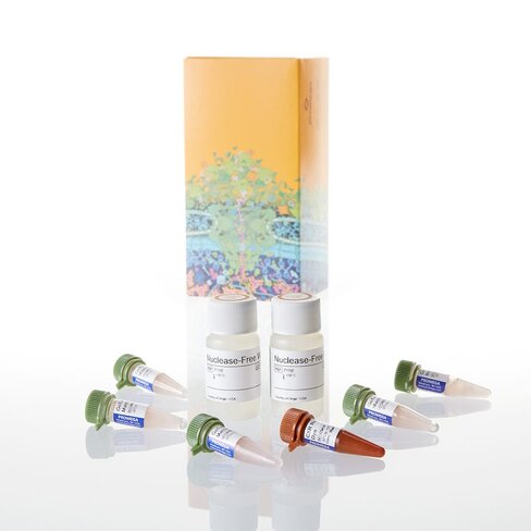 GoTaq qPCR Master Mix 5 mL