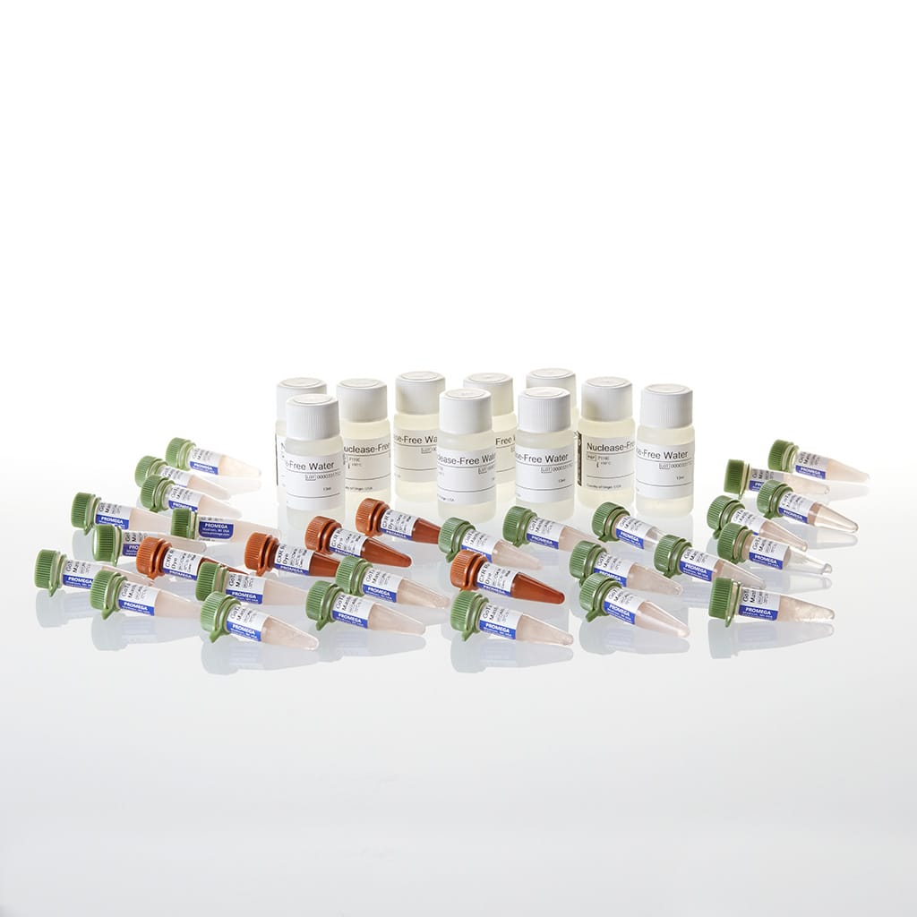 GoTaq qPCR Master Mix 25 mL