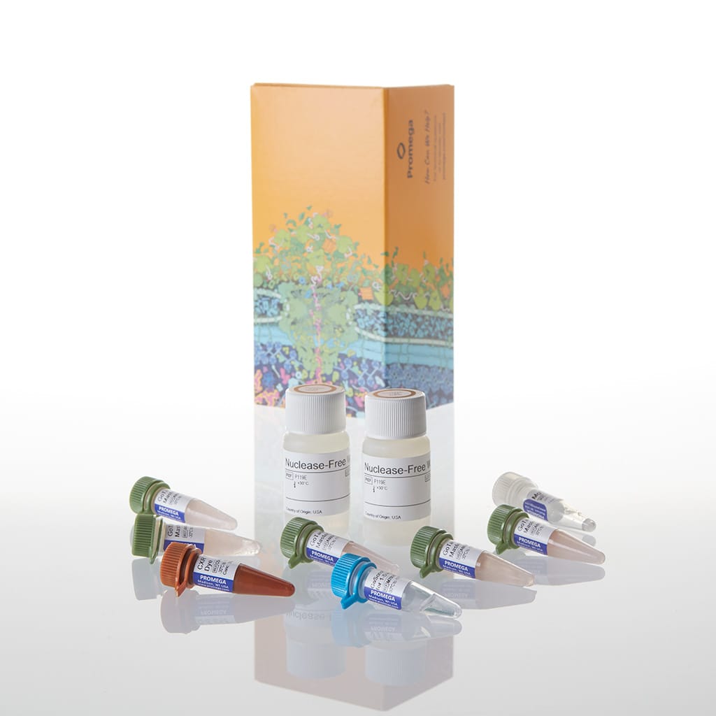 GoTaq 1-Step RT-qPCR System 5 mL