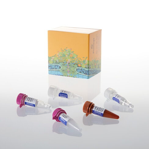 GoTaq Probe qPCR Master Mix 2 mL