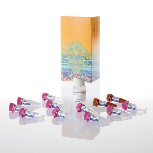 GoTaq Probe qPCR Master Mix 10 mL