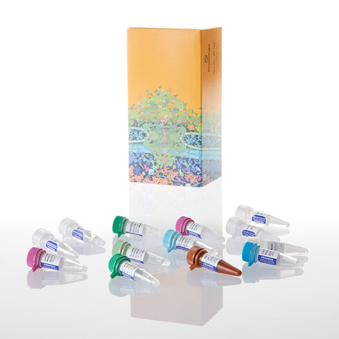 GoTaq Probe 2-Step RT-qPCR System 2 mL