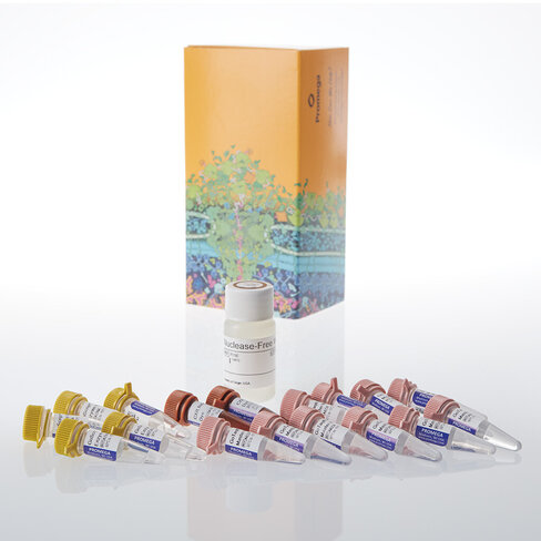 GoTaq Endure RT-qPCR System, 1000 rxn