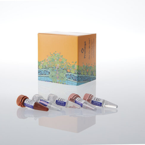 GoTaq Endure qPCR Direct Amp Bundle