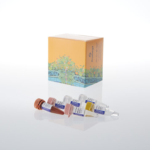 GoTaq Endure RT-qPCR Direct Amp Bundle