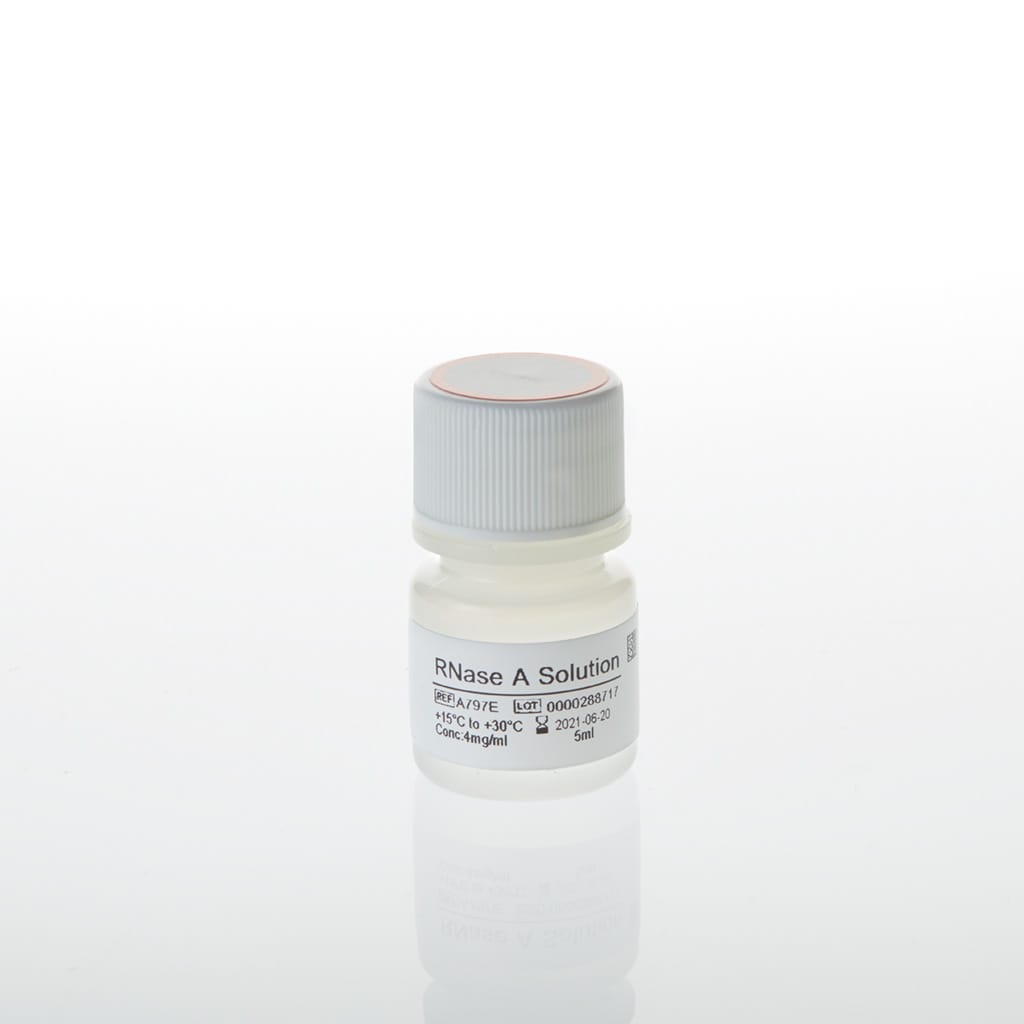 RNase A Solution 4mg/ml 5 mL