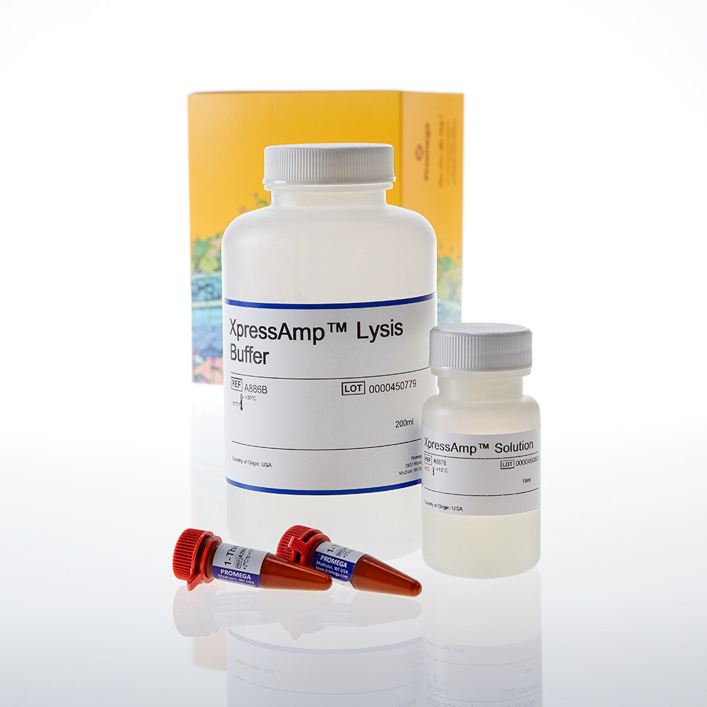 XpressAmp TM direct Amplification Reagents, HT 3000 réactions