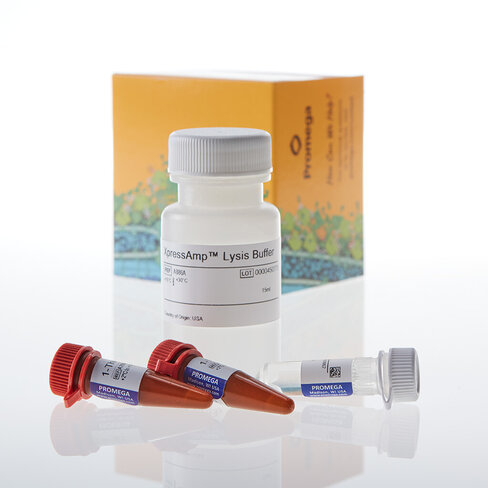 XpressAmp TM direct Amplification Reagents 250 réactions