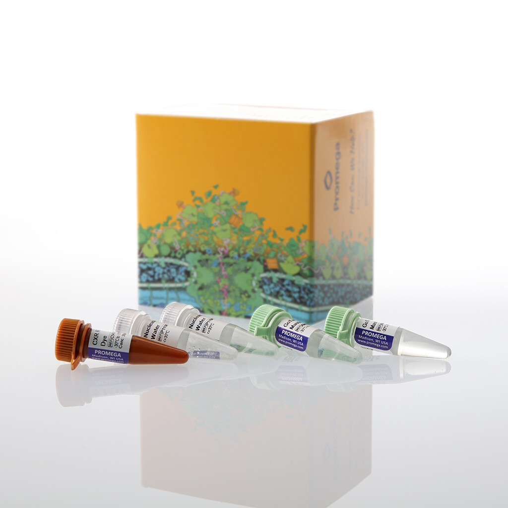 GoTaq Enviro qPCR System, 200 rxn 200 réactions