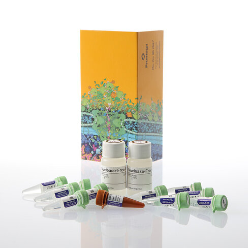 GoTaq Enviro qPCR System, 1000 rxn 1000 réactions