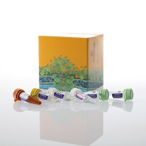 GoTaq Enviro RT-qPCR System, 200 rxn 200 réactions