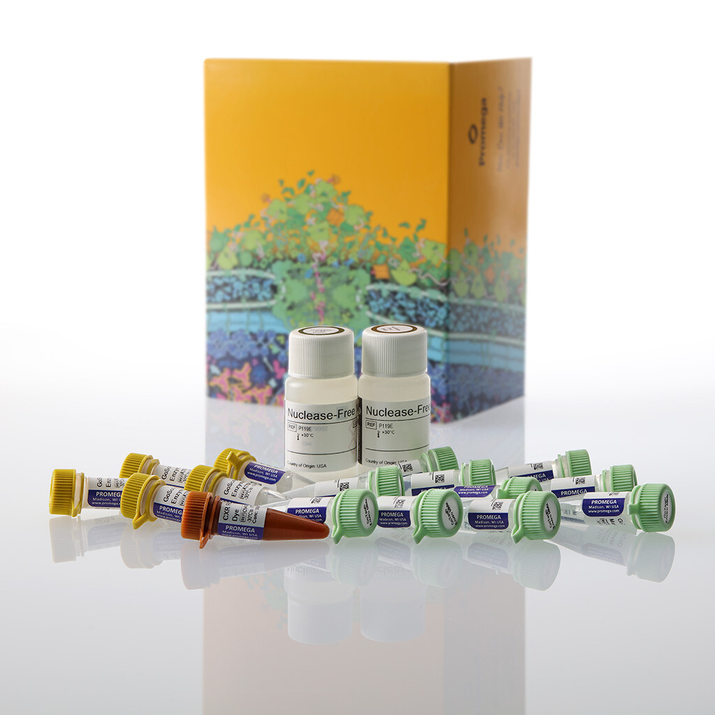 GoTaq Enviro RT-qPCR System, 1000 rxn 1000 réactions