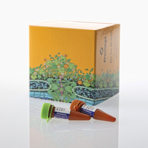 IAC RTqPCR Inhib Ctrl Asy CAL Fluor 560