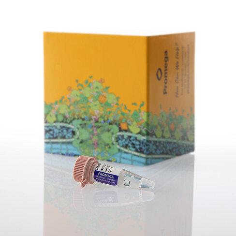 PMMoV RNA Quant Standard