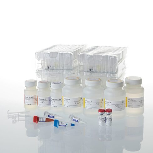 Maxwell CSC RNA Blood Kit 48 preps
