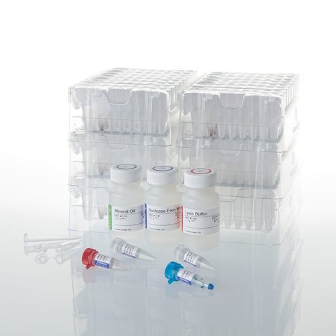 Maxwell RSC DNA FFPE Kit 48 preps