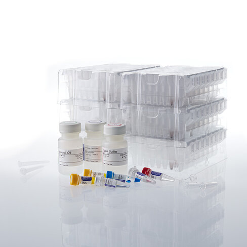 Maxwell RSC Xcelerate DNA FFPE Kit