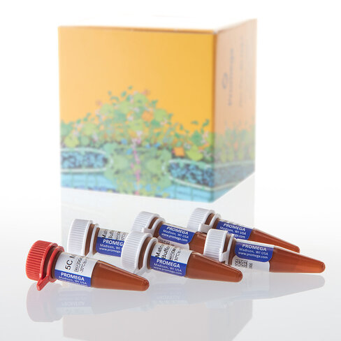 GenePrint 5C Matrix Standard 5 preps