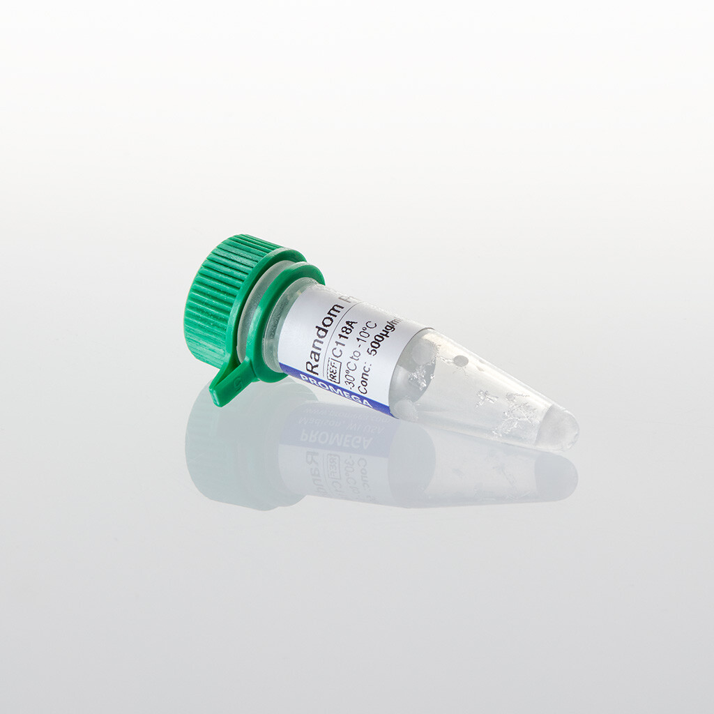 Random Primers 20 µg