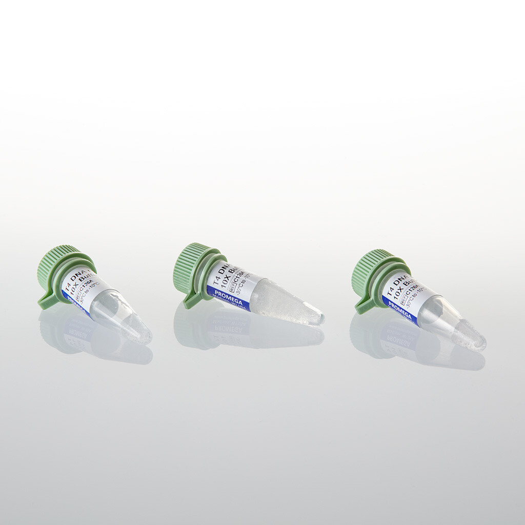 T4 DNA Ligase Buffer Pack 1,5 ml