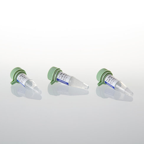 T4 DNA Ligase Buffer Pack 1,5 ml