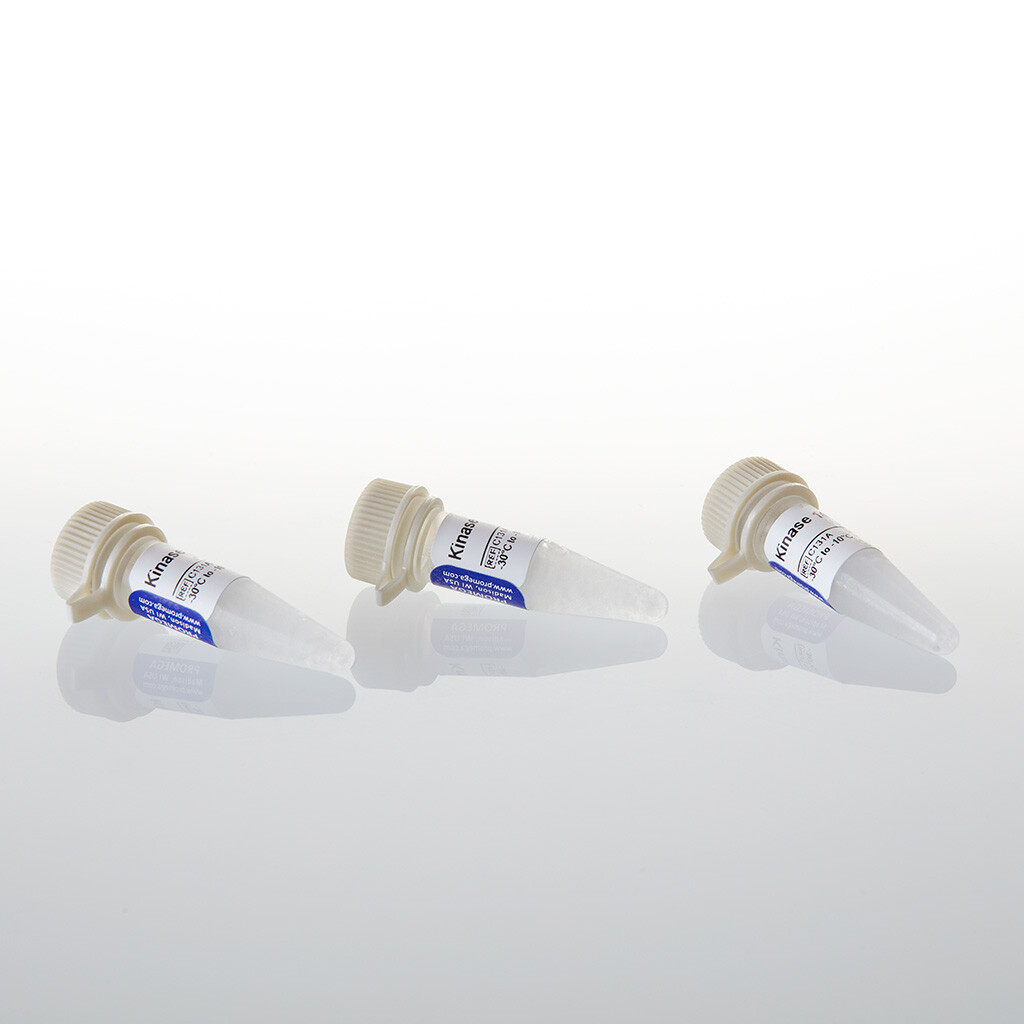 T4 PNK Buffer Pack 1,5 ml