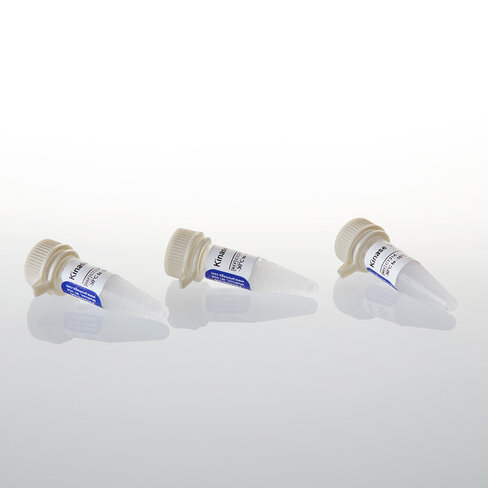 T4 PNK Buffer Pack 1,5 ml