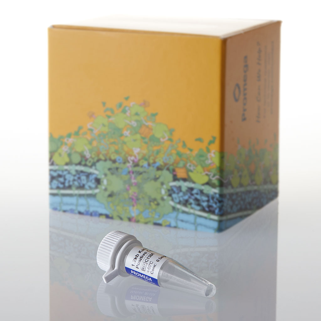 1.2kb Kanamycin Positive Control RNA 5 µg