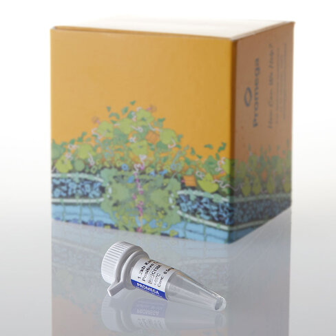 1.2kb Kanamycin Positive Control RNA 5 µg