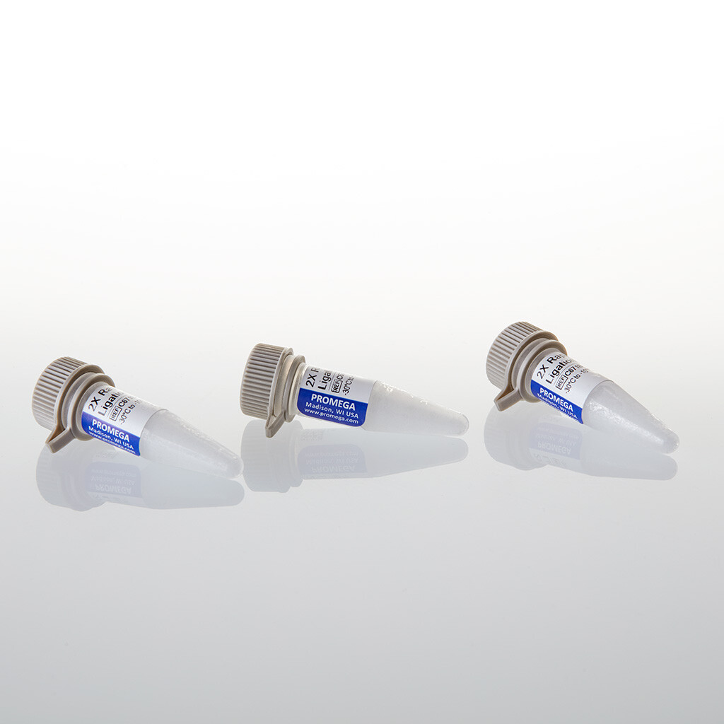 2X Rapid Ligation Buffer 3 x 500ul 1,5 ml