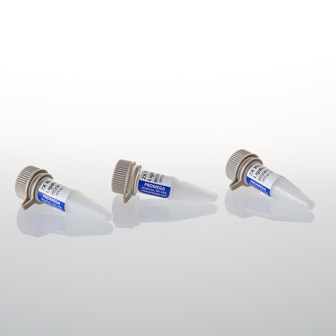2X Rapid Ligation Buffer 3 x 500ul 1,5 ml