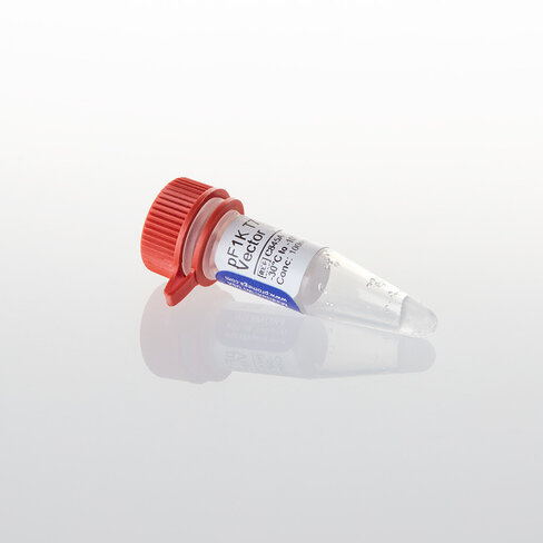 PF1K T7 Flexi Vector, 20µg