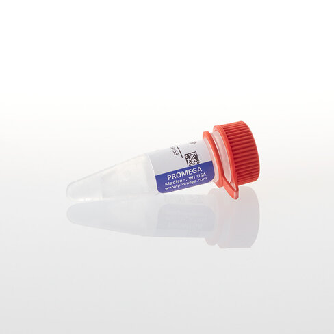 PF4K CMV Flexi Vector, 20µg